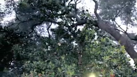 Demi Lovato - Gift Of A Friend - Official Music Video 141 Demi Lovato - Gift Of A Friend - Official Music Video 141