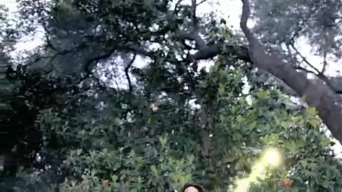 Demi Lovato - Gift Of A Friend - Official Music Video 142 Demi Lovato - Gift Of A Friend - Official Music Video 142