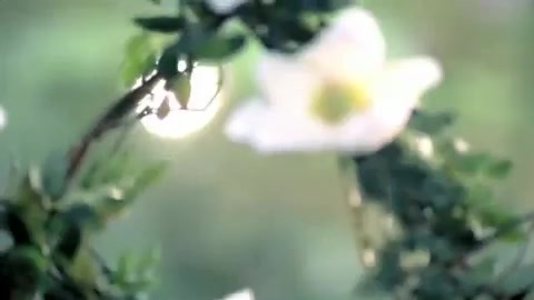 Demi Lovato - Gift Of A Friend - Official Music Video 695