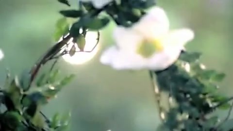 Demi Lovato - Gift Of A Friend - Official Music Video 696