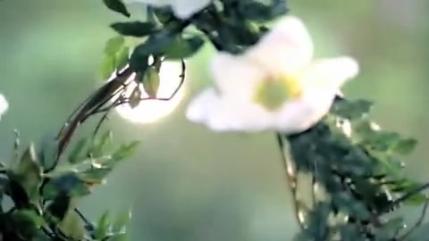 Demi Lovato - Gift Of A Friend - Official Music Video 697