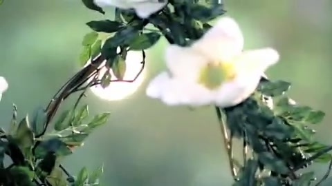 Demi Lovato - Gift Of A Friend - Official Music Video 698
