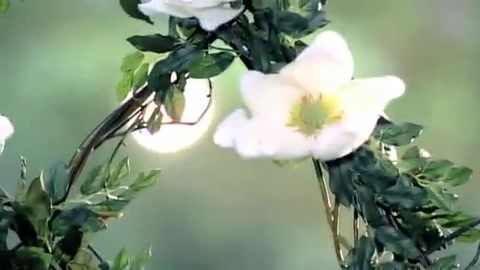 Demi Lovato - Gift Of A Friend - Official Music Video 699