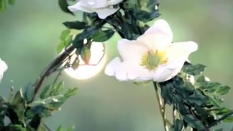 Demi Lovato - Gift Of A Friend - Official Music Video 701