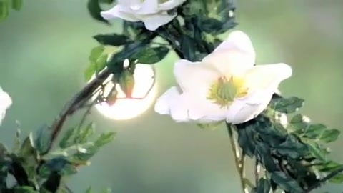 Demi Lovato - Gift Of A Friend - Official Music Video 702