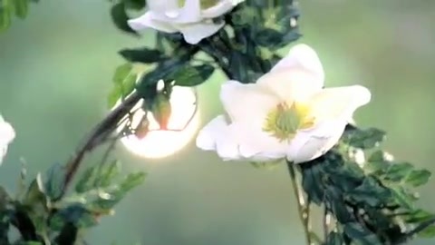 Demi Lovato - Gift Of A Friend - Official Music Video 703