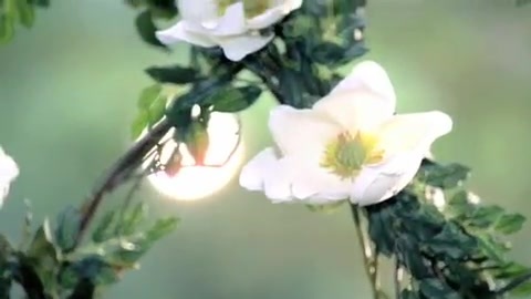 Demi Lovato - Gift Of A Friend - Official Music Video 704