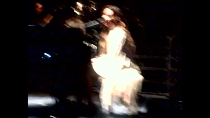 Demi Lovato - Skyscraper (Live in New York - fan video) 1027