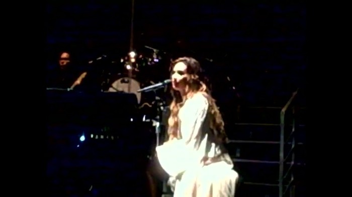 Demi Lovato - Skyscraper (Live in New York - fan video) 1031