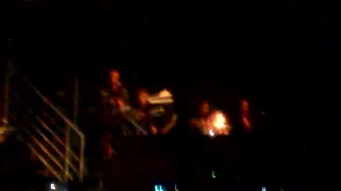 Demi Lovato - Skyscraper (Live in New York - fan video) 545