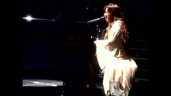 Demi Lovato - Skyscraper (Live in New York - fan video) 1651