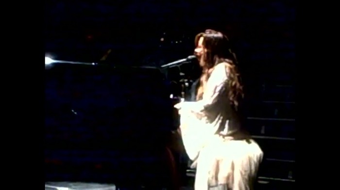 Demi Lovato - Skyscraper (Live in New York - fan video) 1656