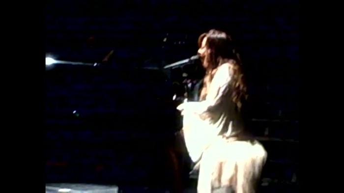 Demi Lovato - Skyscraper (Live in New York - fan video) 1657