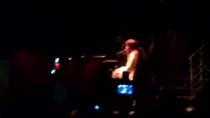 Demi Lovato - Skyscraper (Live in New York - fan video) 1660