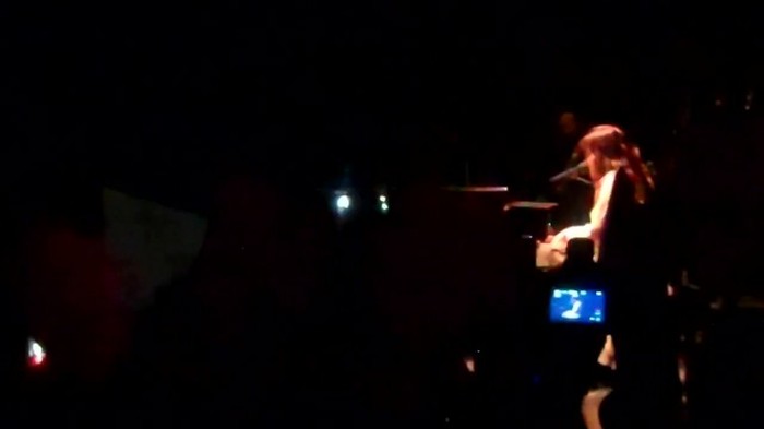 Demi Lovato - Skyscraper (Live in New York - fan video) 1664