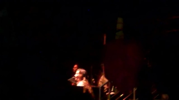 Demi Lovato - Skyscraper (Live in New York - fan video) 705