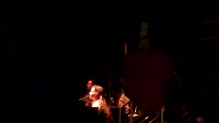 Demi Lovato - Skyscraper (Live in New York - fan video) 706