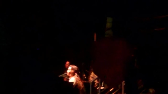 Demi Lovato - Skyscraper (Live in New York - fan video) 707