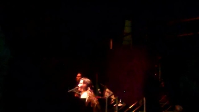 Demi Lovato - Skyscraper (Live in New York - fan video) 708
