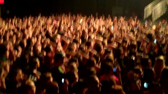 Demi Lovato - Skyscraper (Live in New York - fan video) 273