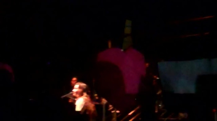 Demi Lovato - Skyscraper (Live in New York - fan video) 712