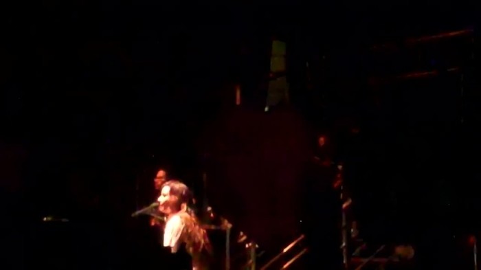 Demi Lovato - Skyscraper (Live in New York - fan video) 713