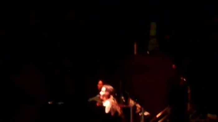 Demi Lovato - Skyscraper (Live in New York - fan video) 729