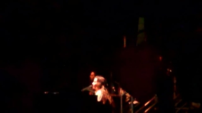 Demi Lovato - Skyscraper (Live in New York - fan video) 730