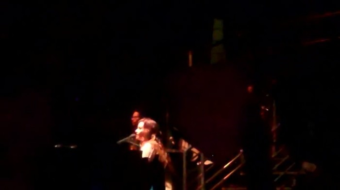 Demi Lovato - Skyscraper (Live in New York - fan video) 733