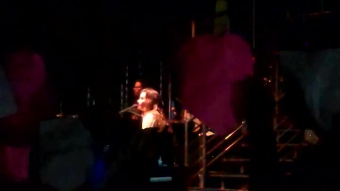Demi Lovato - Skyscraper (Live in New York - fan video) 737