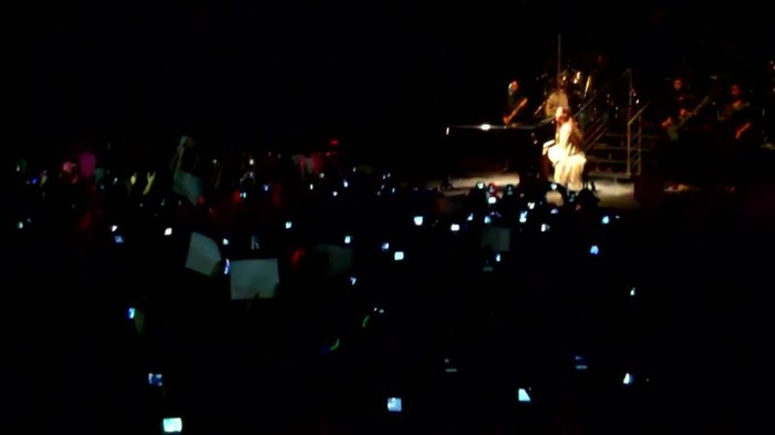 Demi Lovato - Skyscraper (Live in New York - fan video) 748