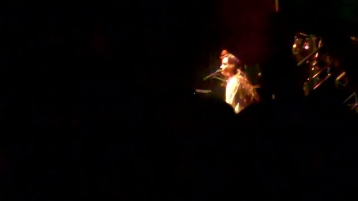 Demi Lovato - Skyscraper (Live in New York - fan video) 769