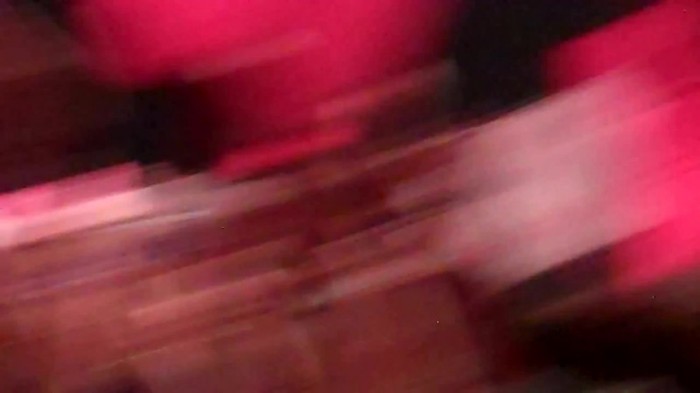 Demi Lovato - Skyscraper (Live in New York - fan video) 799