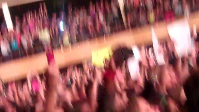 Demi Lovato - Skyscraper (Live in New York - fan video) 810