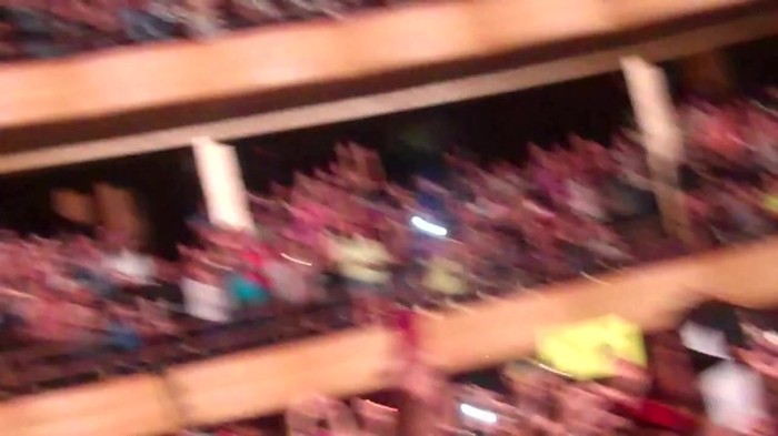 Demi Lovato - Skyscraper (Live in New York - fan video) 812