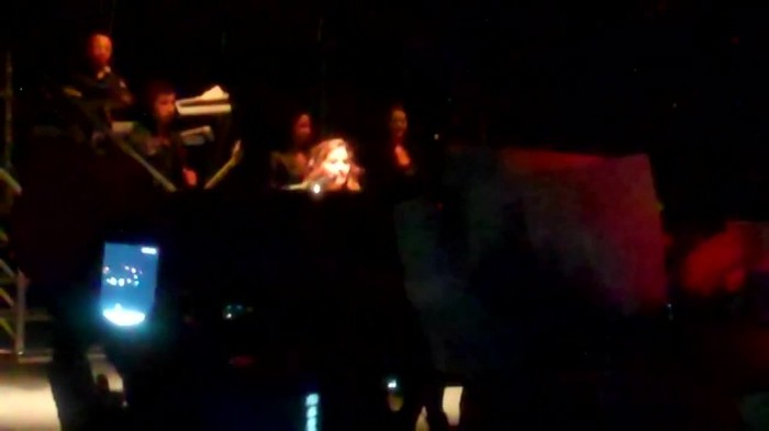 Demi Lovato - Skyscraper (Live in New York - fan video) 428