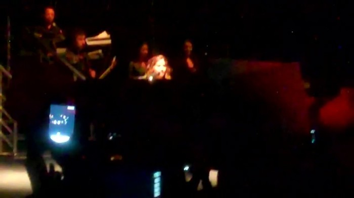 Demi Lovato - Skyscraper (Live in New York - fan video) 429