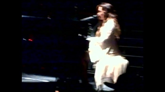 Demi Lovato - Skyscraper (Live in New York - fan video) 1344