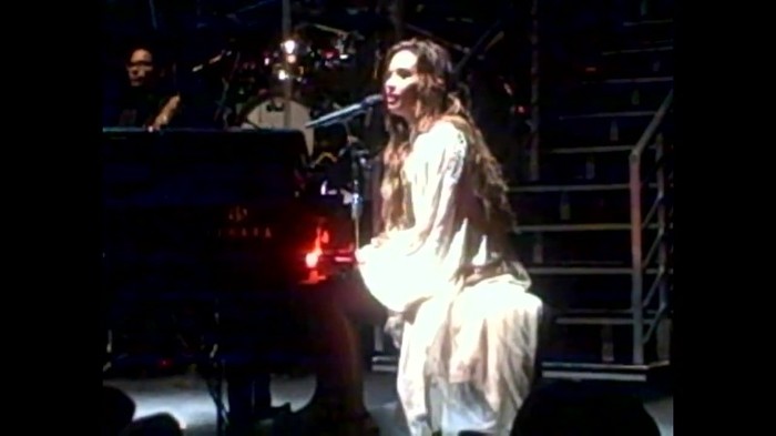 Demi Lovato - Skyscraper (Live in New York - fan video) 461