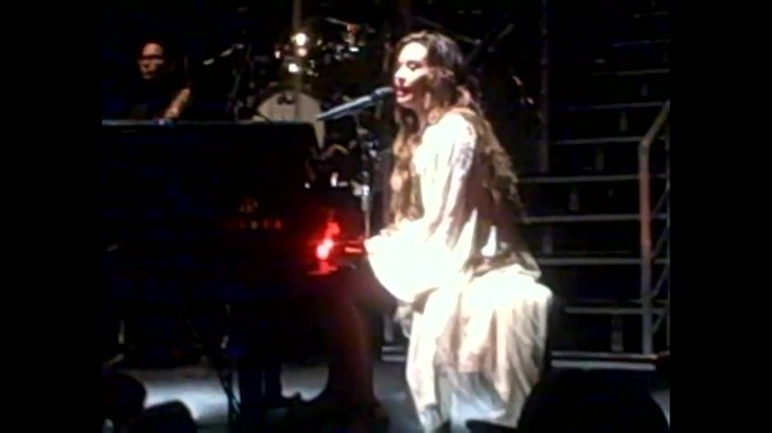 Demi Lovato - Skyscraper (Live in New York - fan video) 462