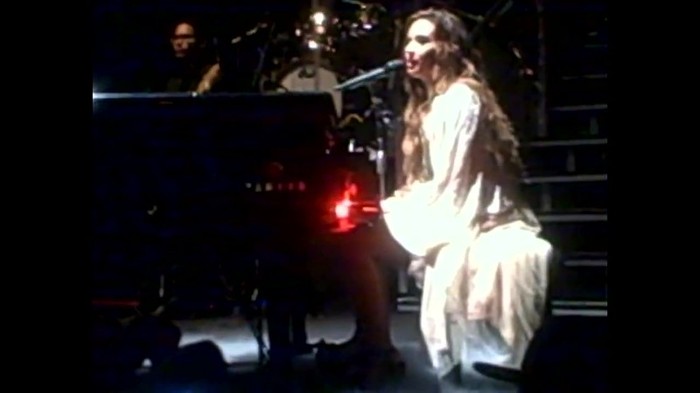Demi Lovato - Skyscraper (Live in New York - fan video) 467