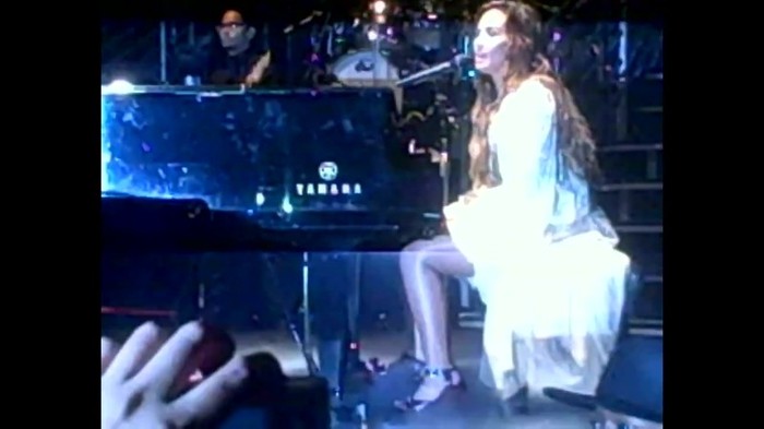 Demi Lovato - Skyscraper (Live in New York - fan video) 471
