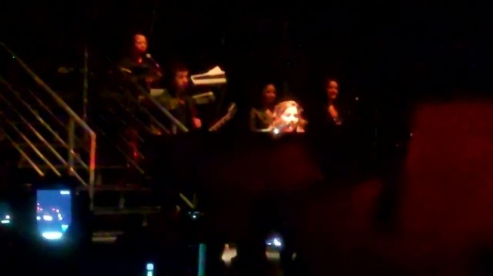 Demi Lovato - Skyscraper (Live in New York - fan video) 878
