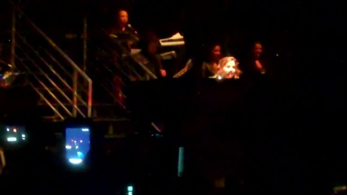 Demi Lovato - Skyscraper (Live in New York - fan video) 896