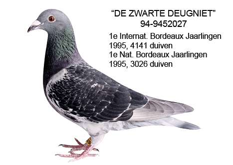 zwarte deugniet - Ko Van Domellen