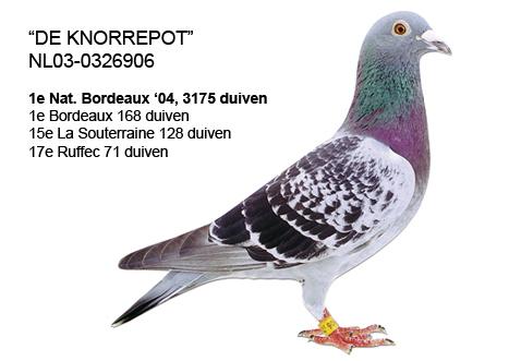 Knorrepot - Ko Van Domellen