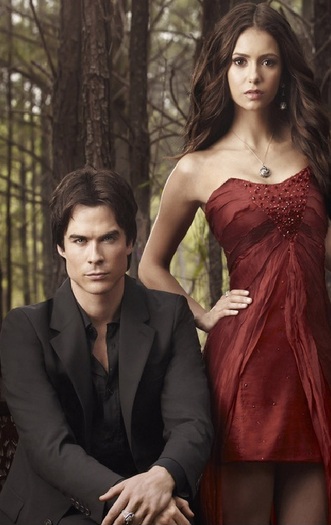 Elena & Damon (3)