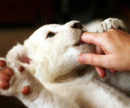 Veti vedea in episodul urmator ce se va mai intampla!