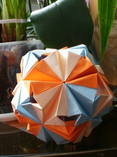 P5090682_resize - origami