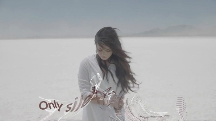 Demi Lovato - Skyscraper (Official lyric video) 310